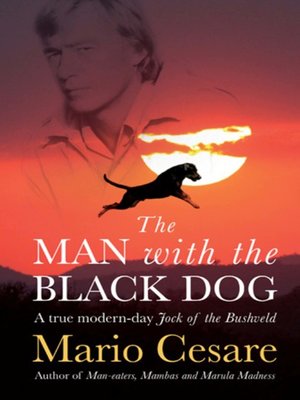 cover image of The Man With the Black Dog